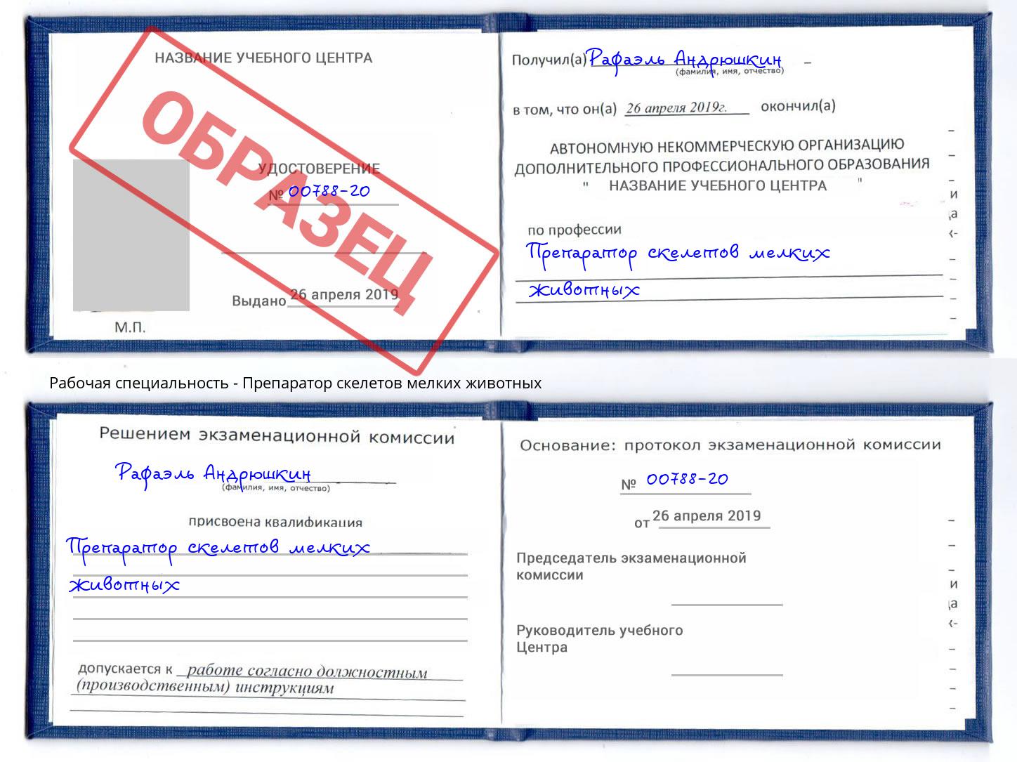 Препаратор скелетов мелких животных Находка