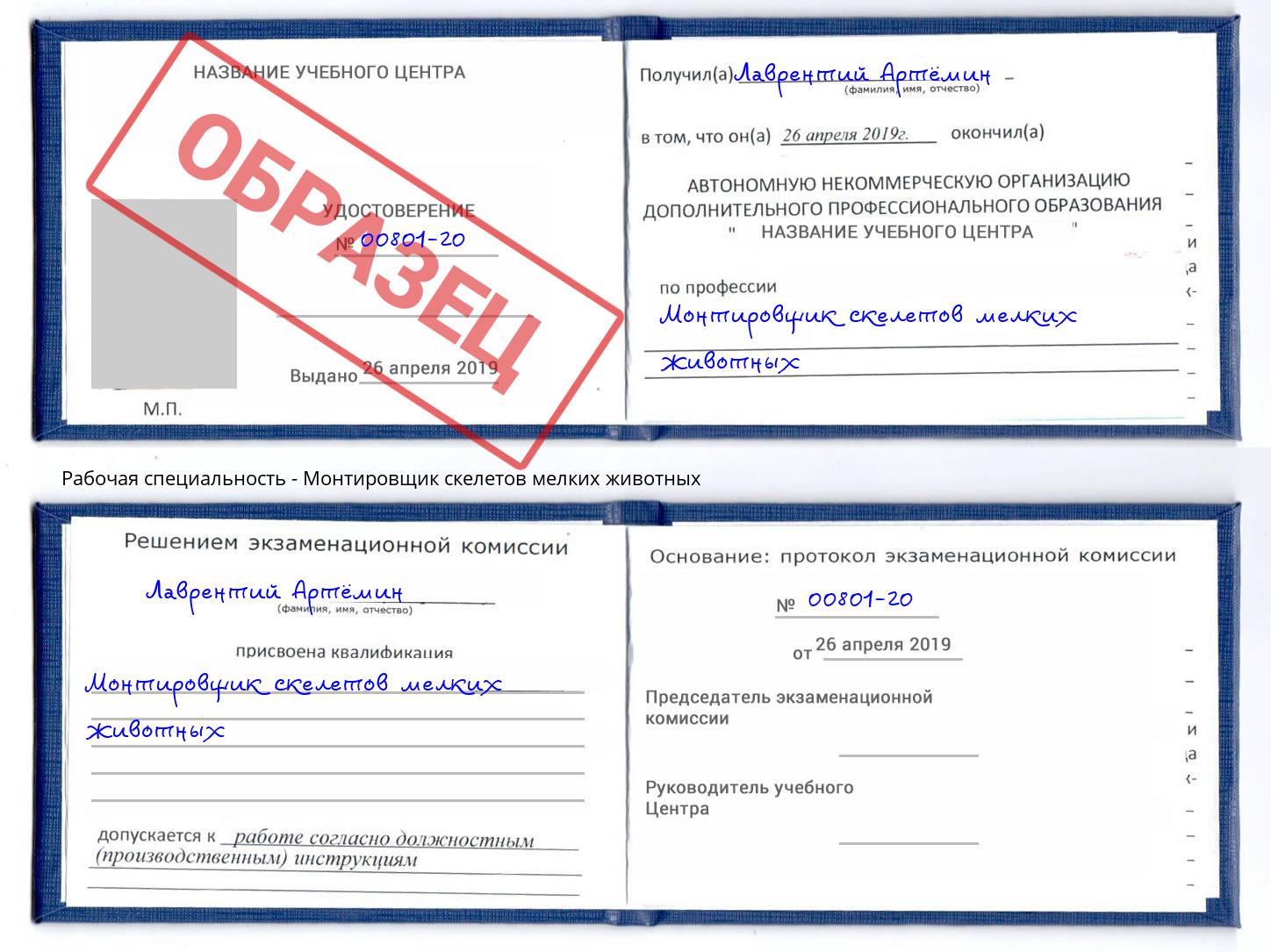 Монтировщик скелетов мелких животных Находка