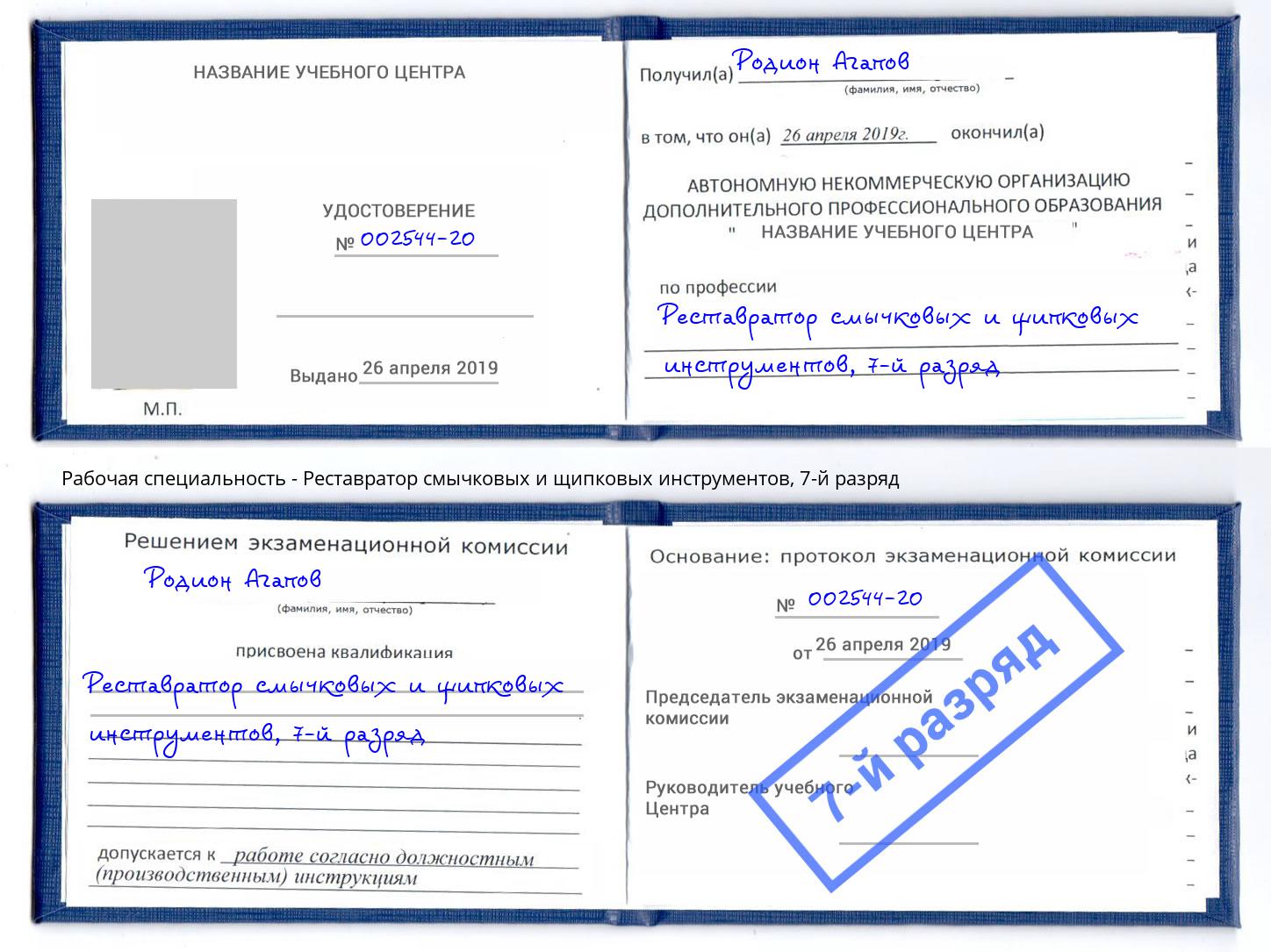 корочка 7-й разряд Реставратор смычковых и щипковых инструментов Находка