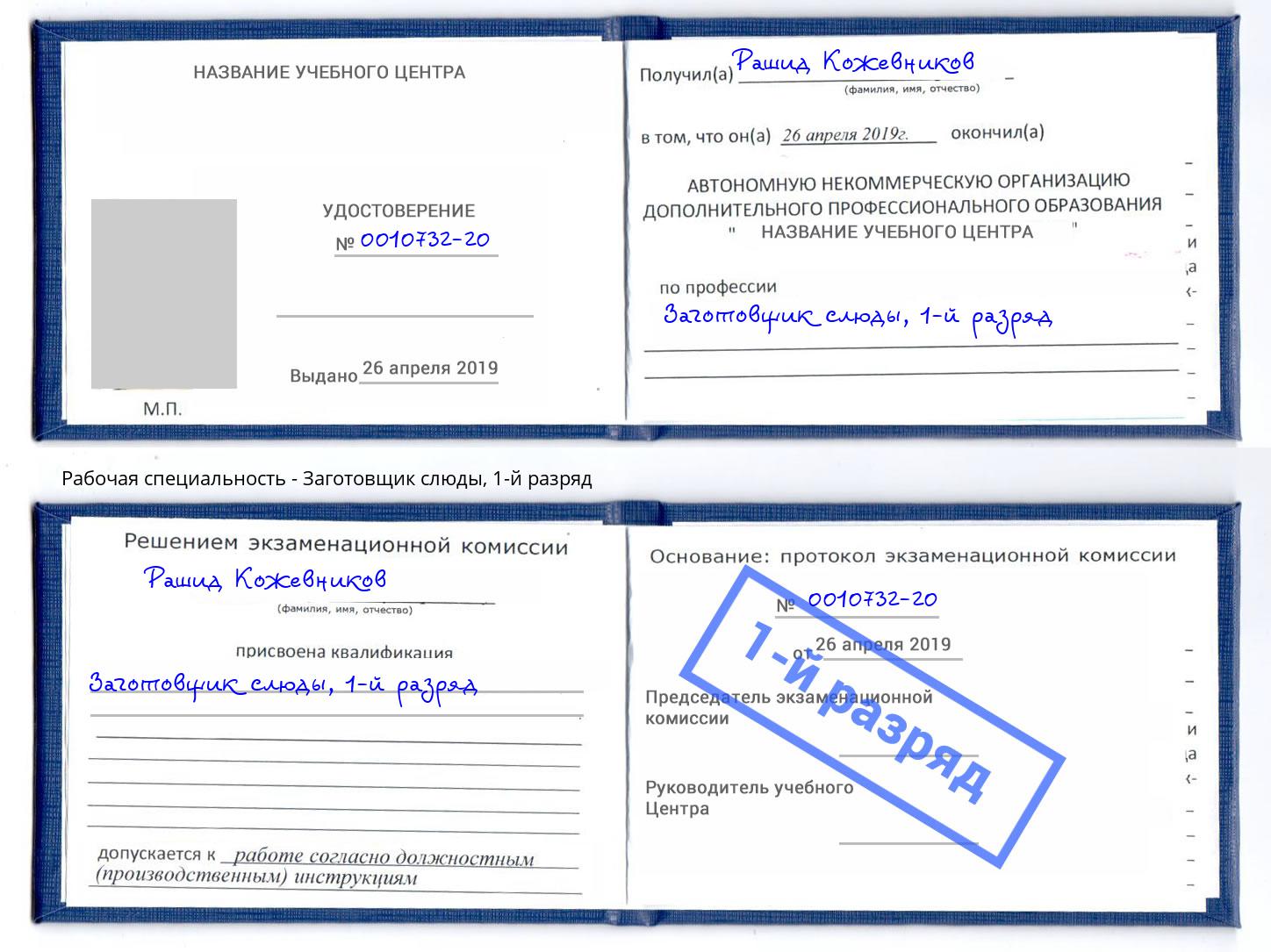 корочка 1-й разряд Заготовщик слюды Находка